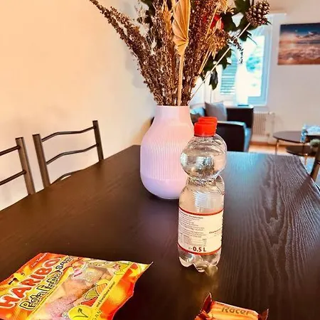 Vibe Βέρνη